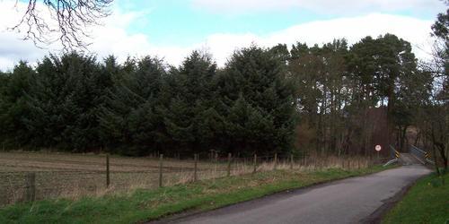 Site of Dunlappie burial ground