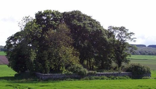 Kirkbuddo kirkyard